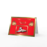 2010 WHITE TIGER CHINESE NEW YEAR OF THE TIGER cards