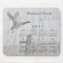 2011 Bird Calendar