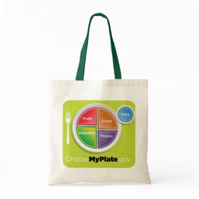 2011 Food Pyramid Choose My Plate grocery bag by afterschoolspecial