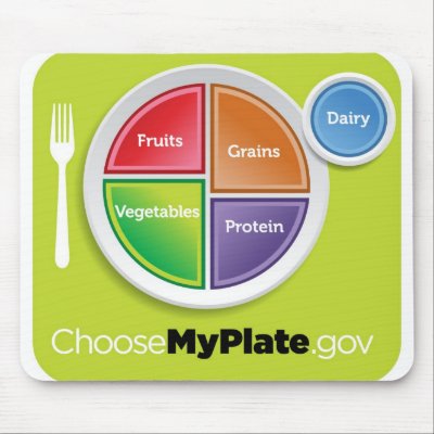 2011 Food Pyramid Choose My Plate mousepad by afterschoolspecial