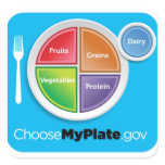 2011 Food Pyramid Choose My Plate sticker