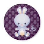 2011 New Year of the Rabbit Magnet