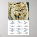 2011 Wildcat  Wall Sized Calendar