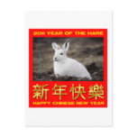 2011 Year Of The Hare Happy Chinese New Year Postcards