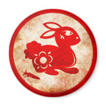 2011 Year of the Rabbit Chinese Astrology Design Refrigerator Magnet