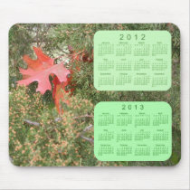 2012 - 2013 Calendar
