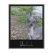 2012 calendar front cover