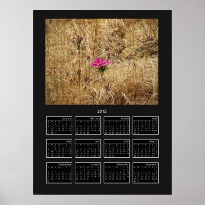 2012 Calendar Poster Wildflower