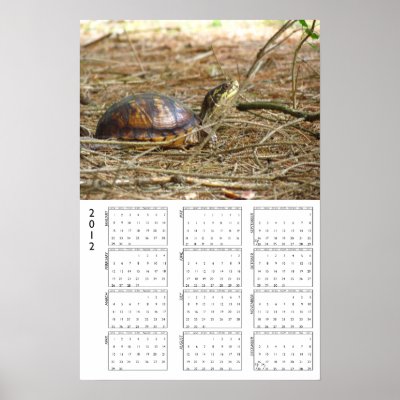 2012 Calendar Turtle Neck