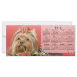 2012 Dog Calendar rack cards