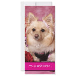 2012 Dog Calendar rack cards