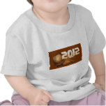 2012 Mayan Calendar End Countdown