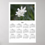 2012 White Daffodils Yearly Wall Calendar Poster