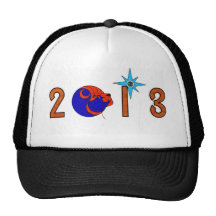 2013 Logo Mesh Hats