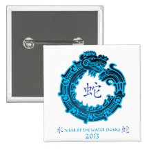 2013 Year of The Water Snake Pinback Button
