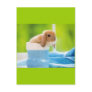 20_baby_animals (4) BABY BUNNY RABBIT blue greens Post Cards