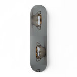 20th century silver plated sugar bowl, Canada Skateboard