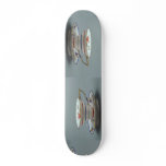 20th century tea cup and saucer, Germany skateboards