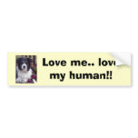 21-05-07_1520, Love me.. love my human!!