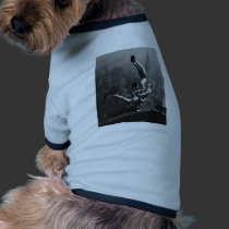 21 pet clothing