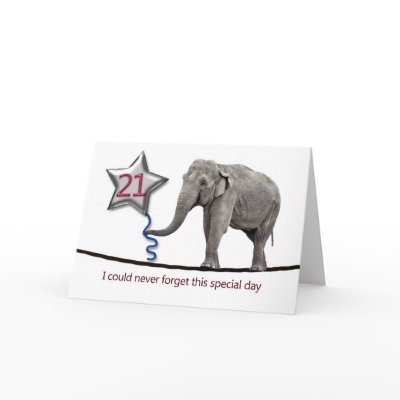 21st Birthday card with tightrope walking elephant by Eggznbeenz
