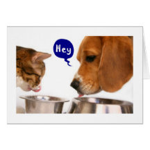 21st BIRTHDAY IS A REASON TO CELEBRATE! Greeting Cards