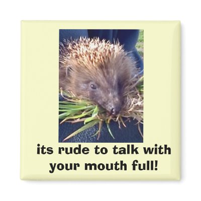 22-05-07_0801, its rude to talk with your mouth... fridge magnets by dee063