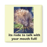 22-05-07_0801, its rude to talk with your mouth... magnets