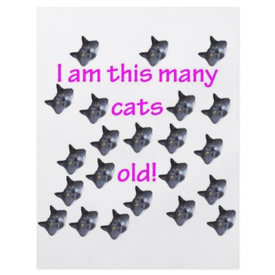 22 Cat Heads Old by oddballbirthdays3