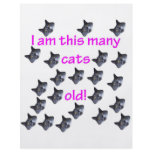 22 Cat Heads Old flyers