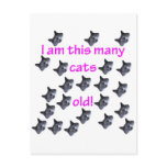 22 Cat Heads Old