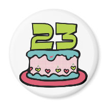 23 Year Old Birthday Cake Fridge Magnet
