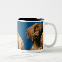 24119671 MUG