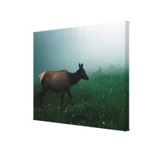 24121885 STRETCHED CANVAS PRINT
