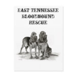 27183_1393578204602_1386585026_1063478_1396204_n postcards