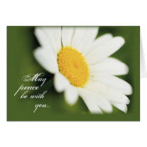2771 Peace Daisy cards
