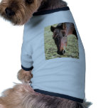 27 Year Old Ancient Brown Horse In Open Green Mead Doggie Tee Shirt