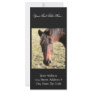 27 Year Old Ancient Brown Horse In Open Green Mead Rack Card Template