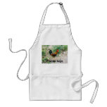 2-12-2007 (2)-07, Florida Keys aprons