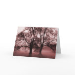2 Big Trees Red