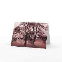 2 Big Trees Red