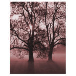 2 Big Trees Red Flyers