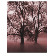 2 Big Trees Red
