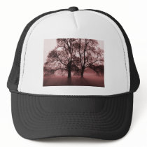 2 Big Trees Red