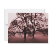 2 Big Trees Red