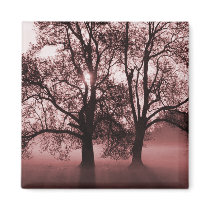 2 Big Trees Red