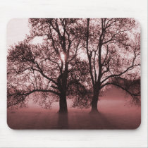 2 Big Trees Red