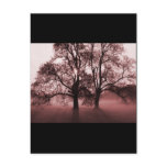 2 Big Trees Red