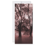 2 Big Trees Red Rack Card Design