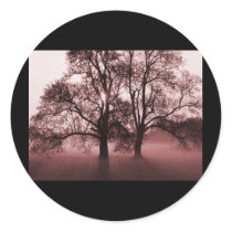 2 Big Trees Red